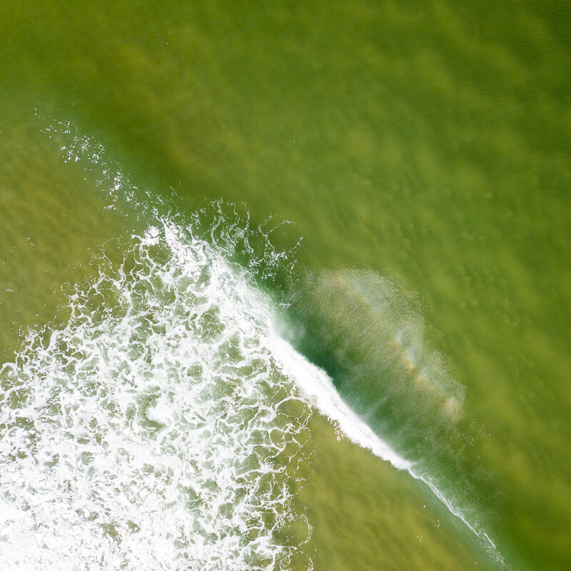 2020-DJI-0366.jpg