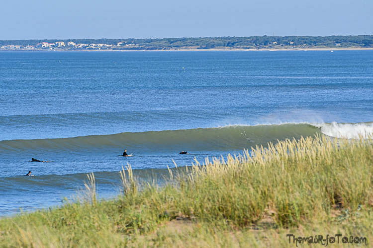 V_27052020-14.jpg