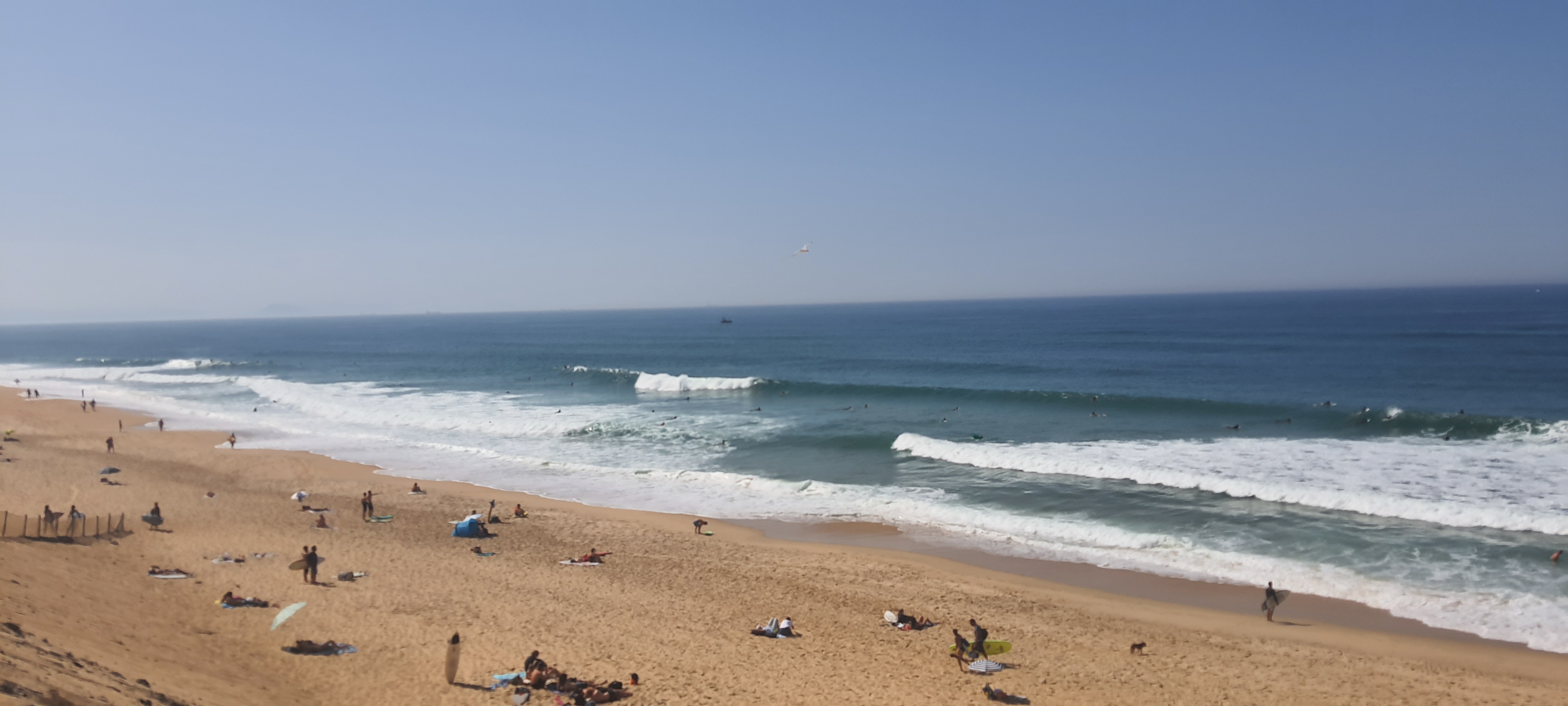 20200915_141630.jpg 20200915_141630.jpg