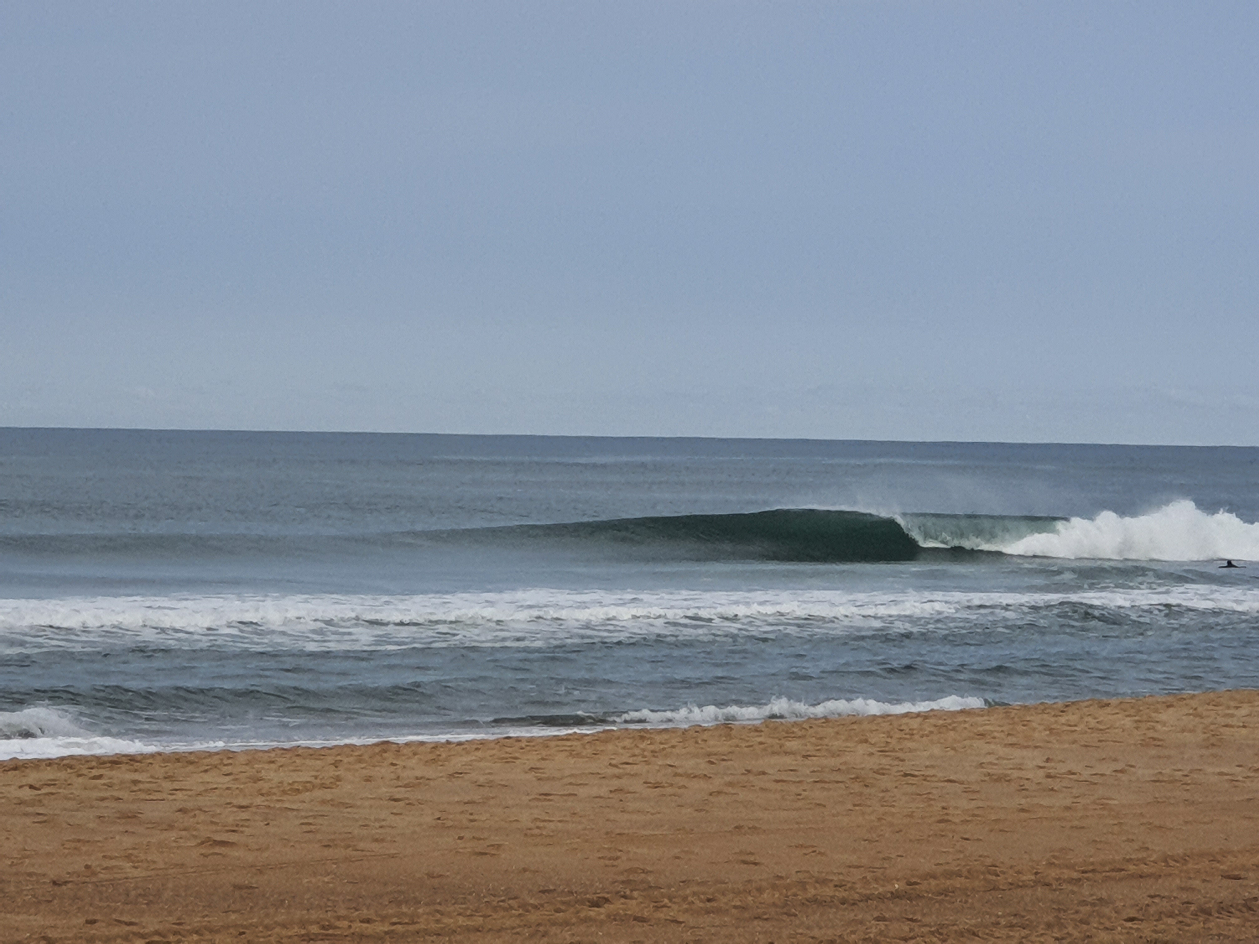 20200929_115517.jpg