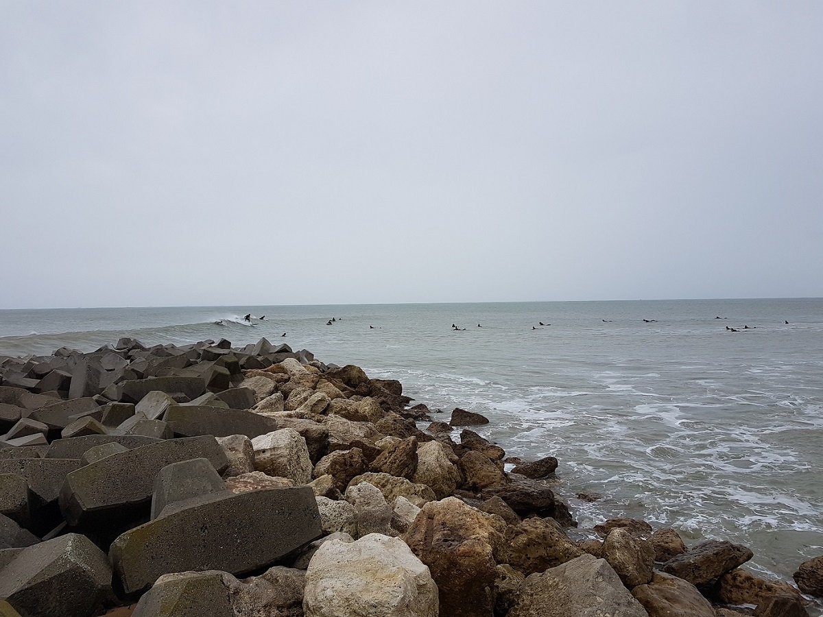 20201025_111618.jpg 20201025_111618.jpg