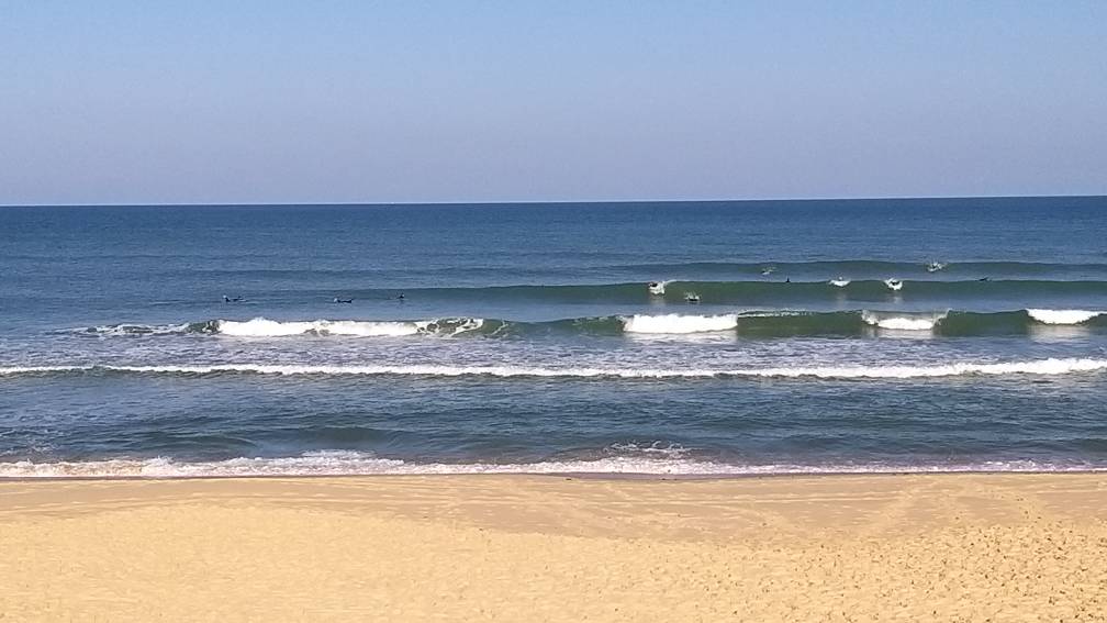 20210717_090340.jpeg