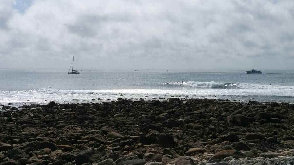 20210813_121053.jpeg
