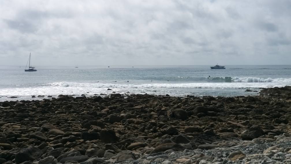 20210813_121048.jpeg