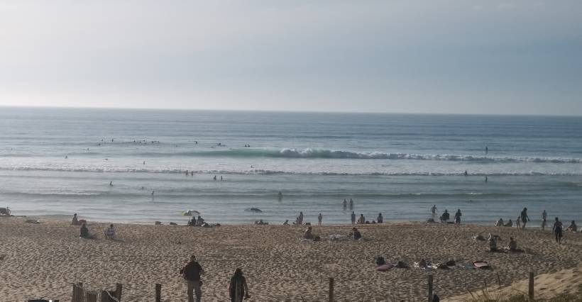 20210914_204324.jpeg