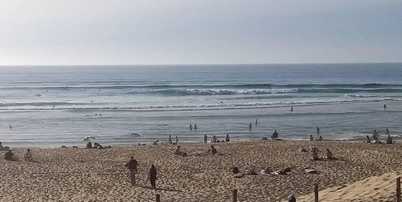 20210914_204253.jpeg