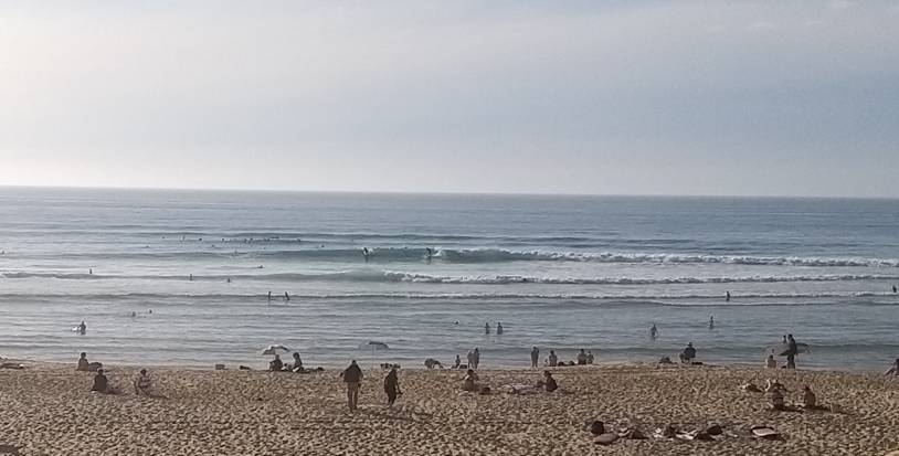 20210914_204224.jpeg