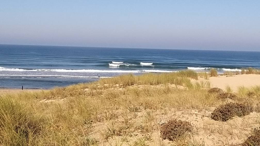 20210922_095358.jpeg