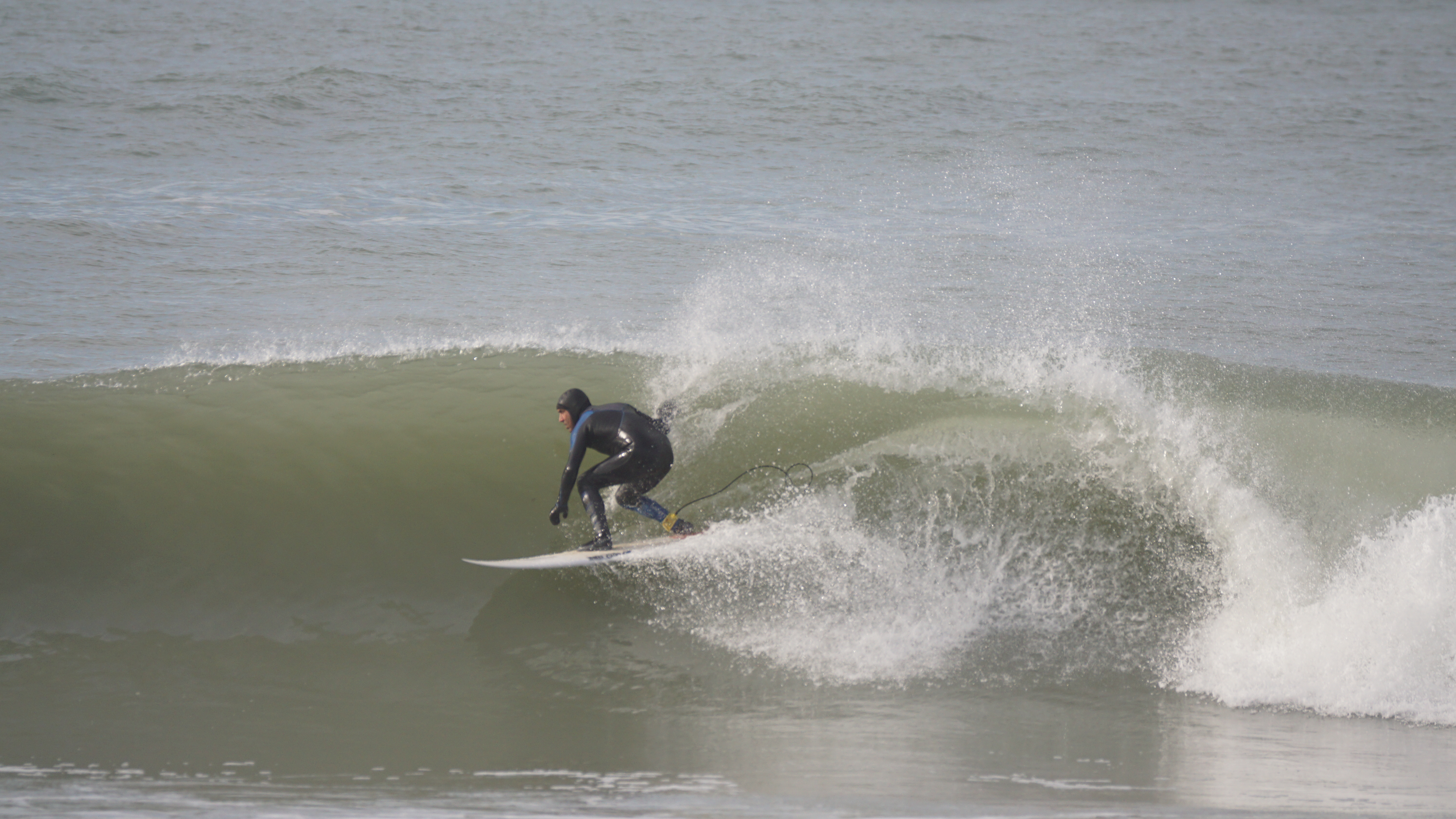 DSC08985.JPG