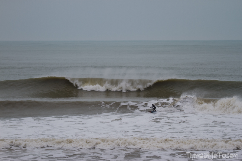 V_1214012018-4.jpg