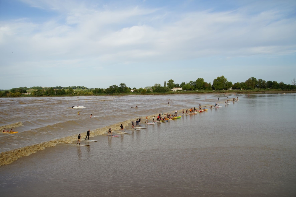 DPJ04010.JPG DPJ04010.JPG