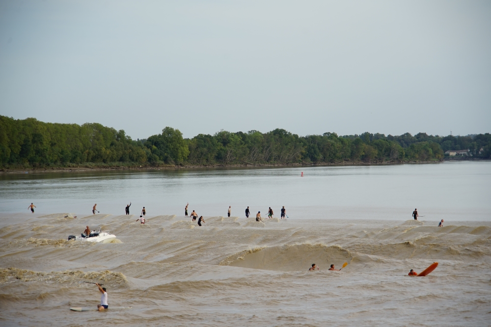 DPJ04019.JPG DPJ04019.JPG