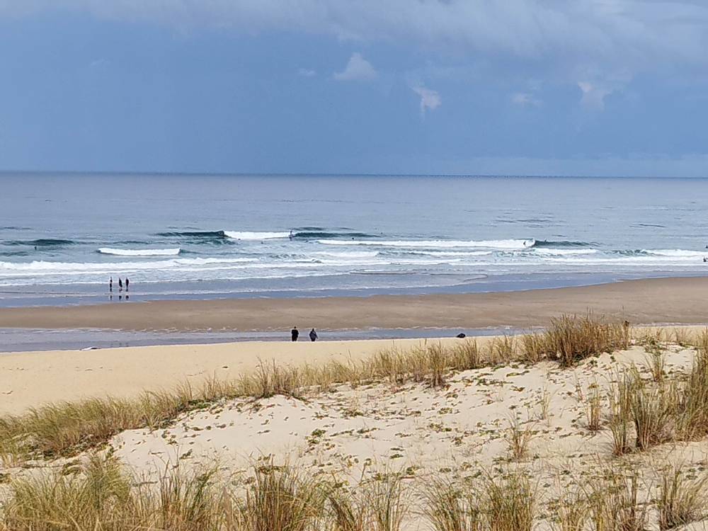 IMG_20220925_102619.jpg IMG_20220925_102619.jpg