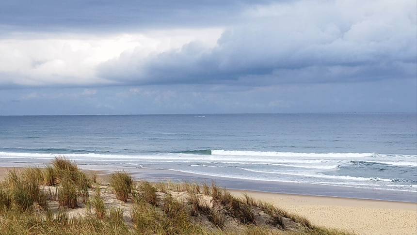 IMG_20220925_102500.jpg IMG_20220925_102500.jpg