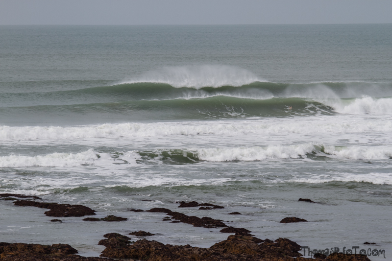 V_10022018_800px-2.jpg