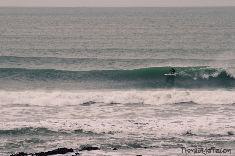 V_10022018_800px-5.jpg