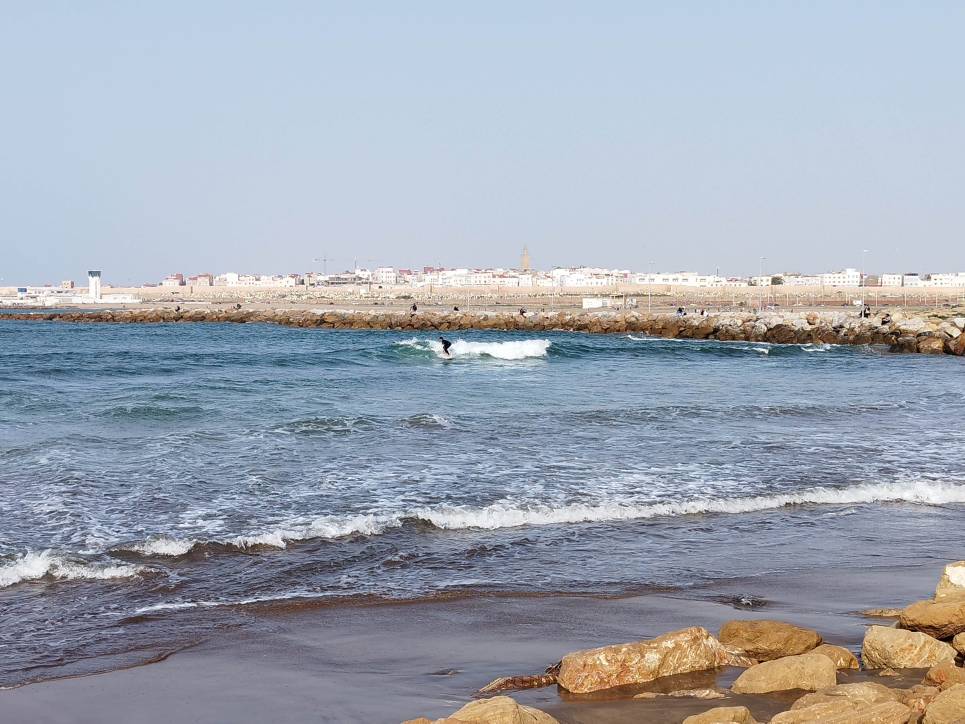 IMG_20230222_223235.jpg IMG_20230222_223235.jpg