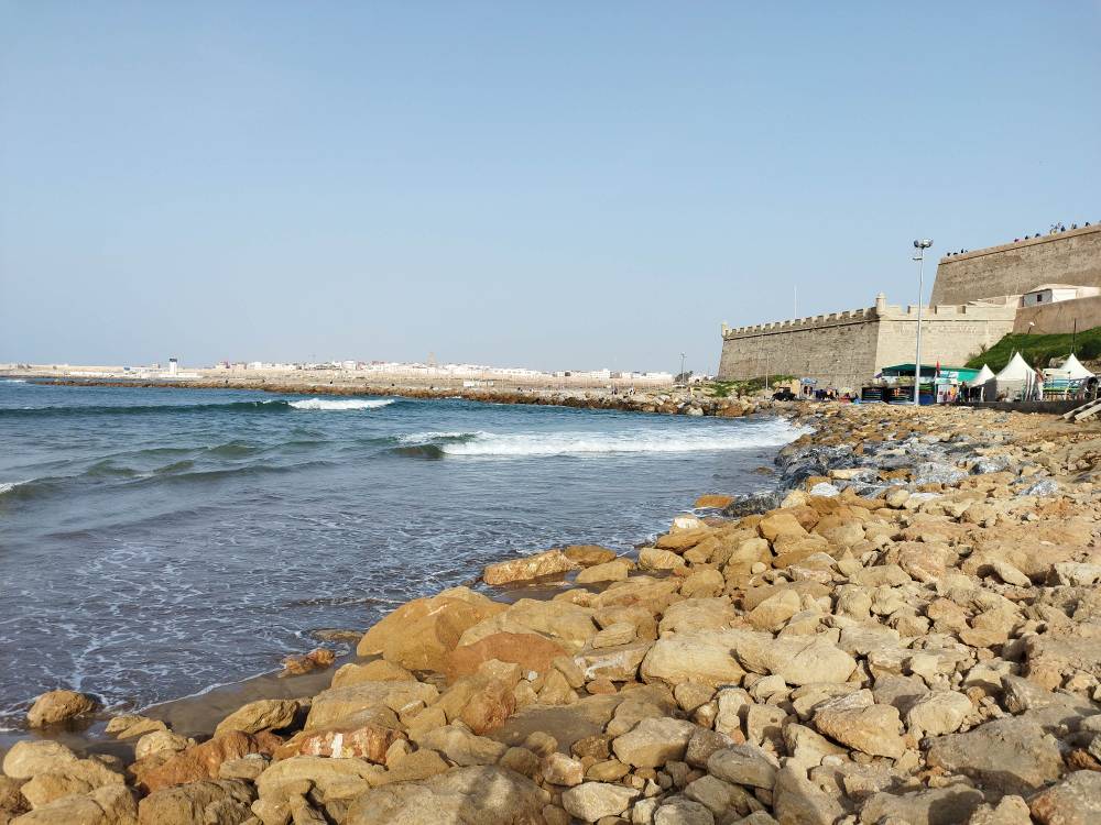 IMG_20230222_170110.jpg IMG_20230222_170110.jpg