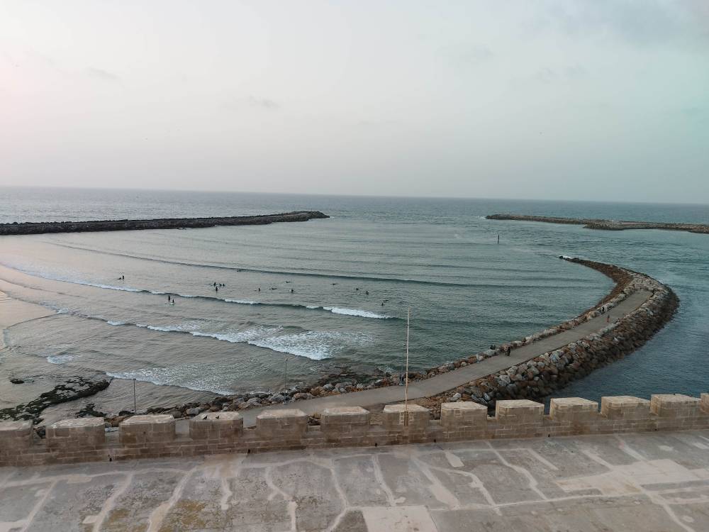 IMG_20230222_190812.jpg IMG_20230222_190812.jpg