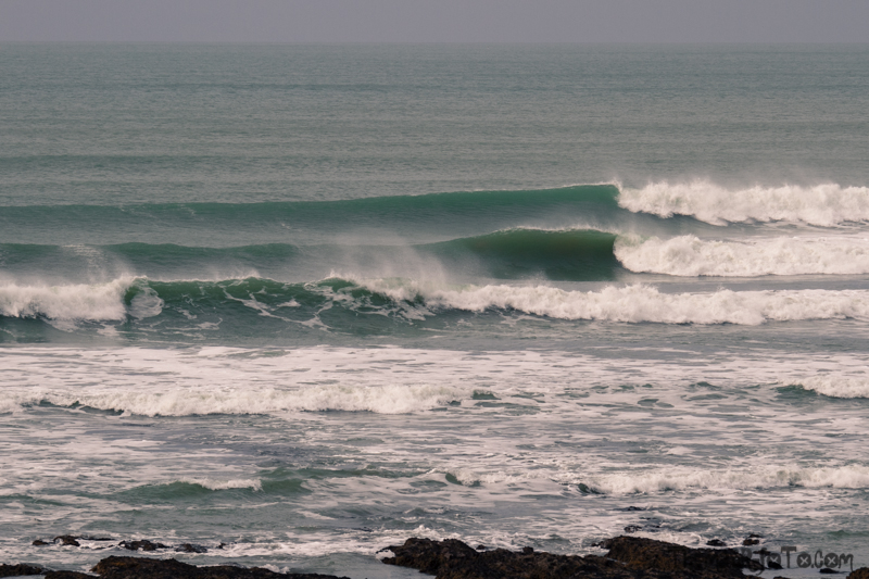 V_10022018_800px-9.jpg