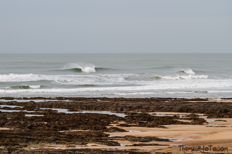 V_10022018_800px-10.jpg