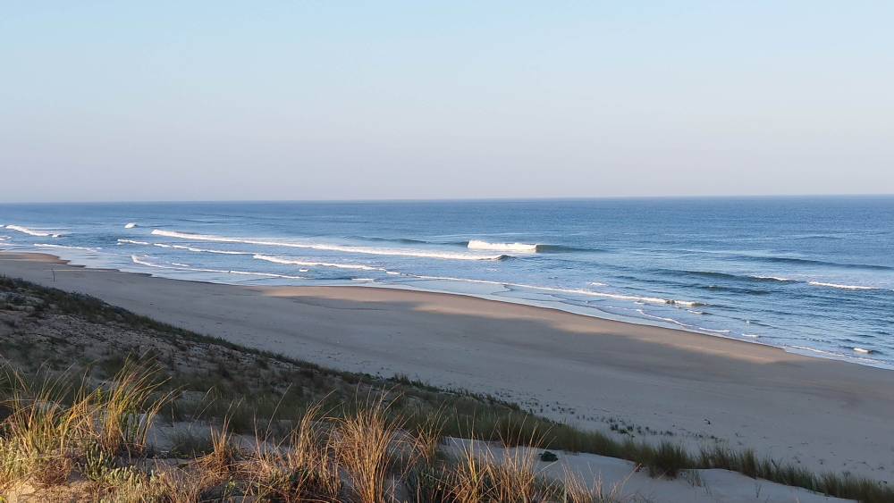 IMG_20230526_072121.jpg IMG_20230526_072121.jpg