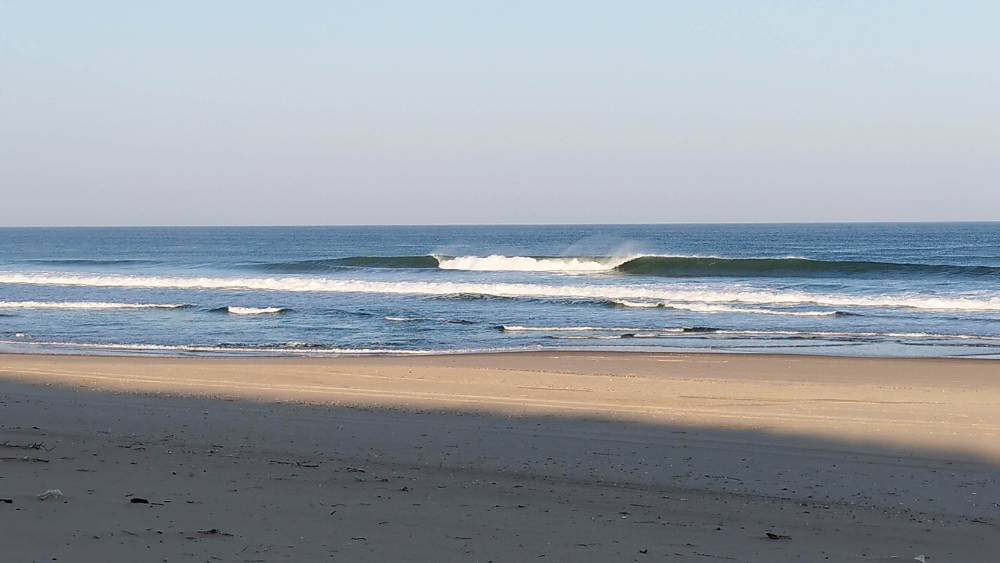 IMG_20230526_073208.jpg IMG_20230526_073208.jpg