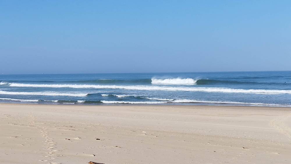 IMG_20230526_091647.jpg IMG_20230526_091647.jpg