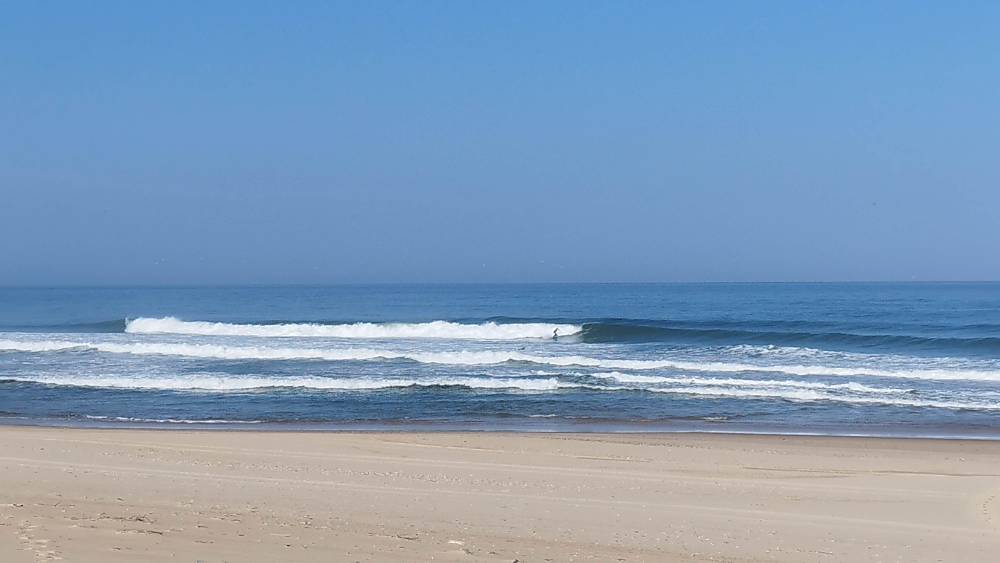 IMG_20230526_092356.jpg IMG_20230526_092356.jpg