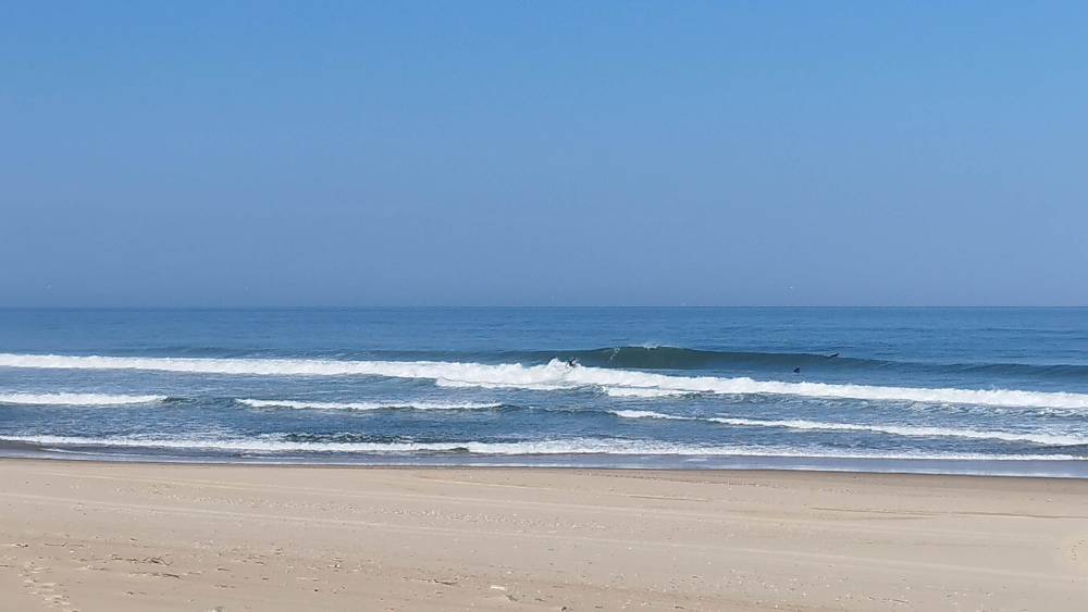 IMG_20230526_092404.jpg IMG_20230526_092404.jpg