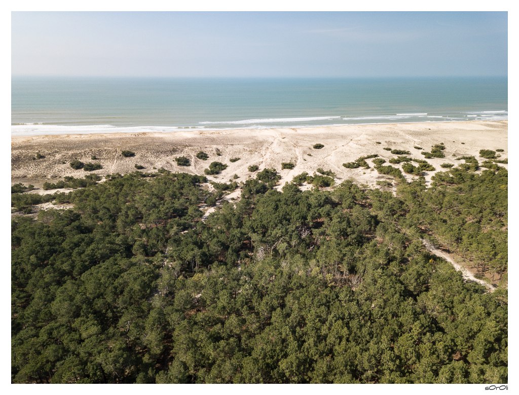 20180224-sOrOli-EOS-DJI_0003.jpg