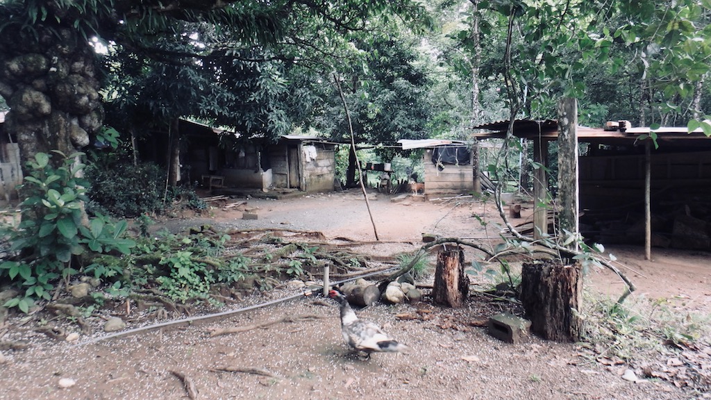 Ferme / 40 Ferme 2.jpg 40 Ferme 2.jpg