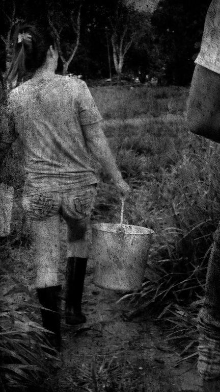 12 litros de leche por favor / 43.1 Fermière.jpeg 43.1 Fermière.jpeg