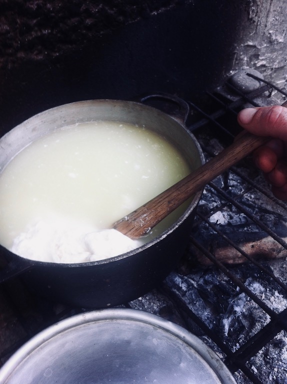 Lait caillé / 48 Caséine Feu.jpg 48 Caséine Feu.jpg