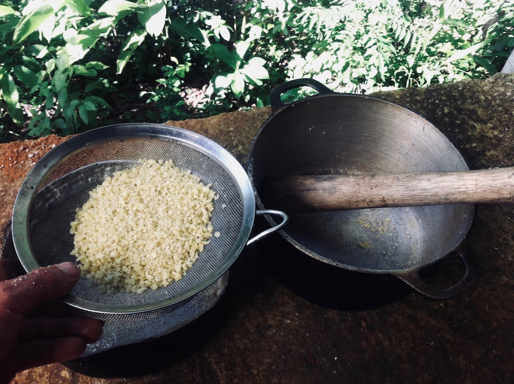 Caséine MAL moulu / 51 Caséine Poudre.jpg 51 Caséine Poudre.jpg