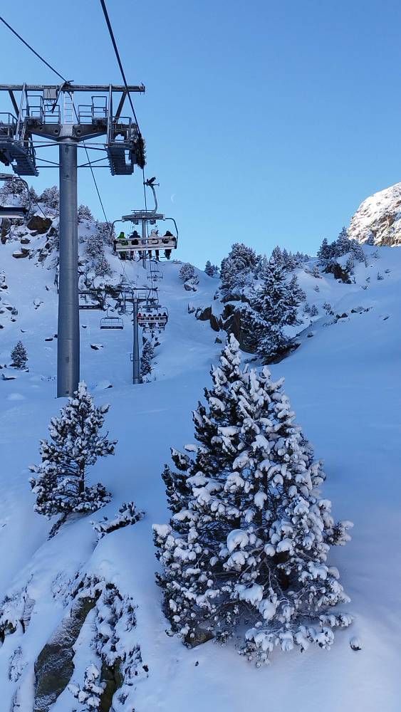 IMG_20250223_093352.jpg IMG_20250223_093352.jpg