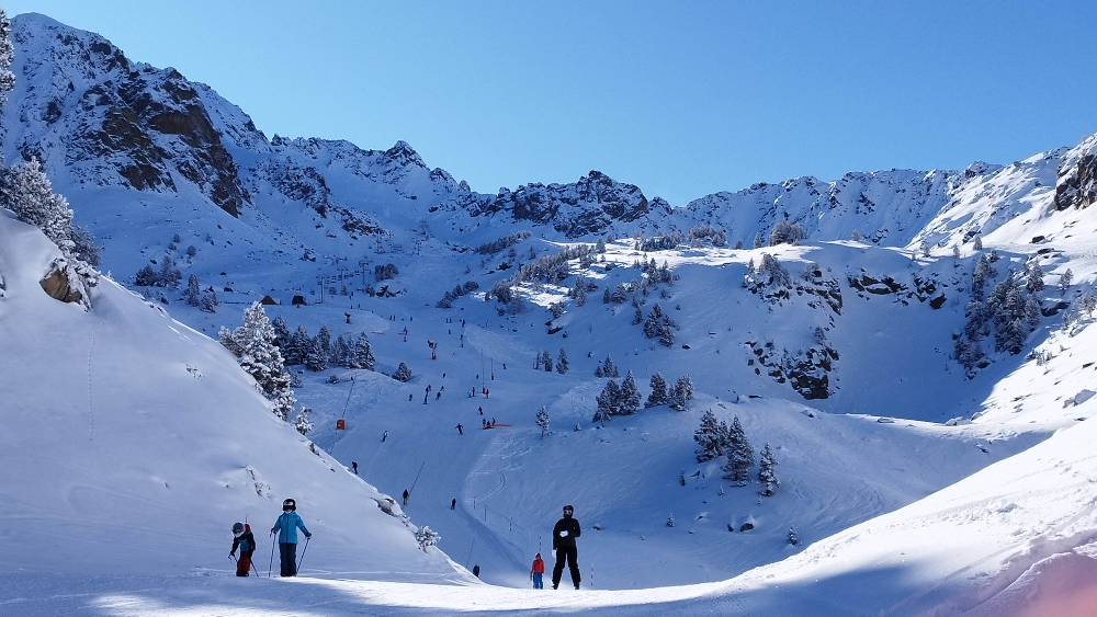 IMG_20250223_095755.jpg IMG_20250223_095755.jpg