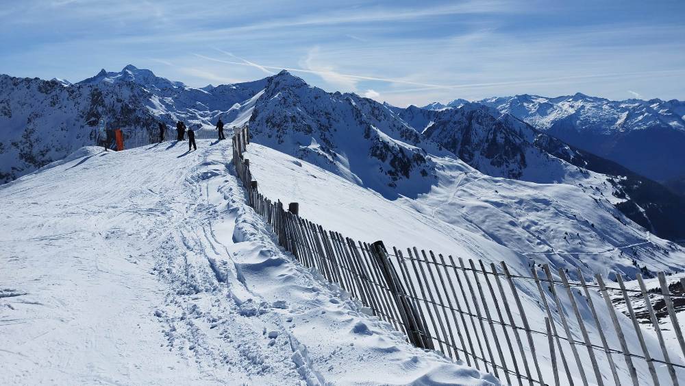 IMG_20250226_151725.jpg IMG_20250226_151725.jpg