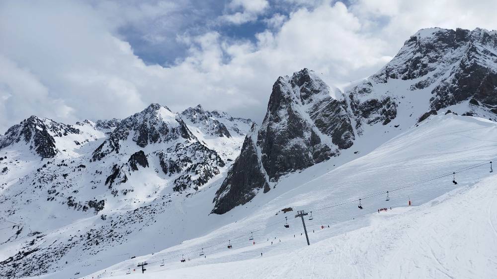 IMG_20250228_141047.jpg IMG_20250228_141047.jpg