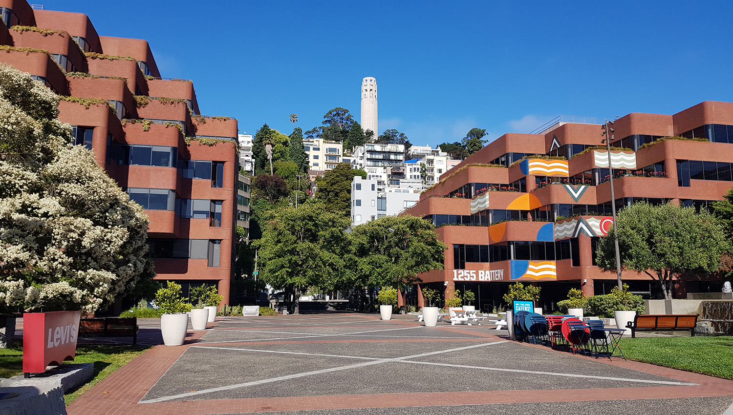 20230730_091505.jpg 20230730_091505.jpg