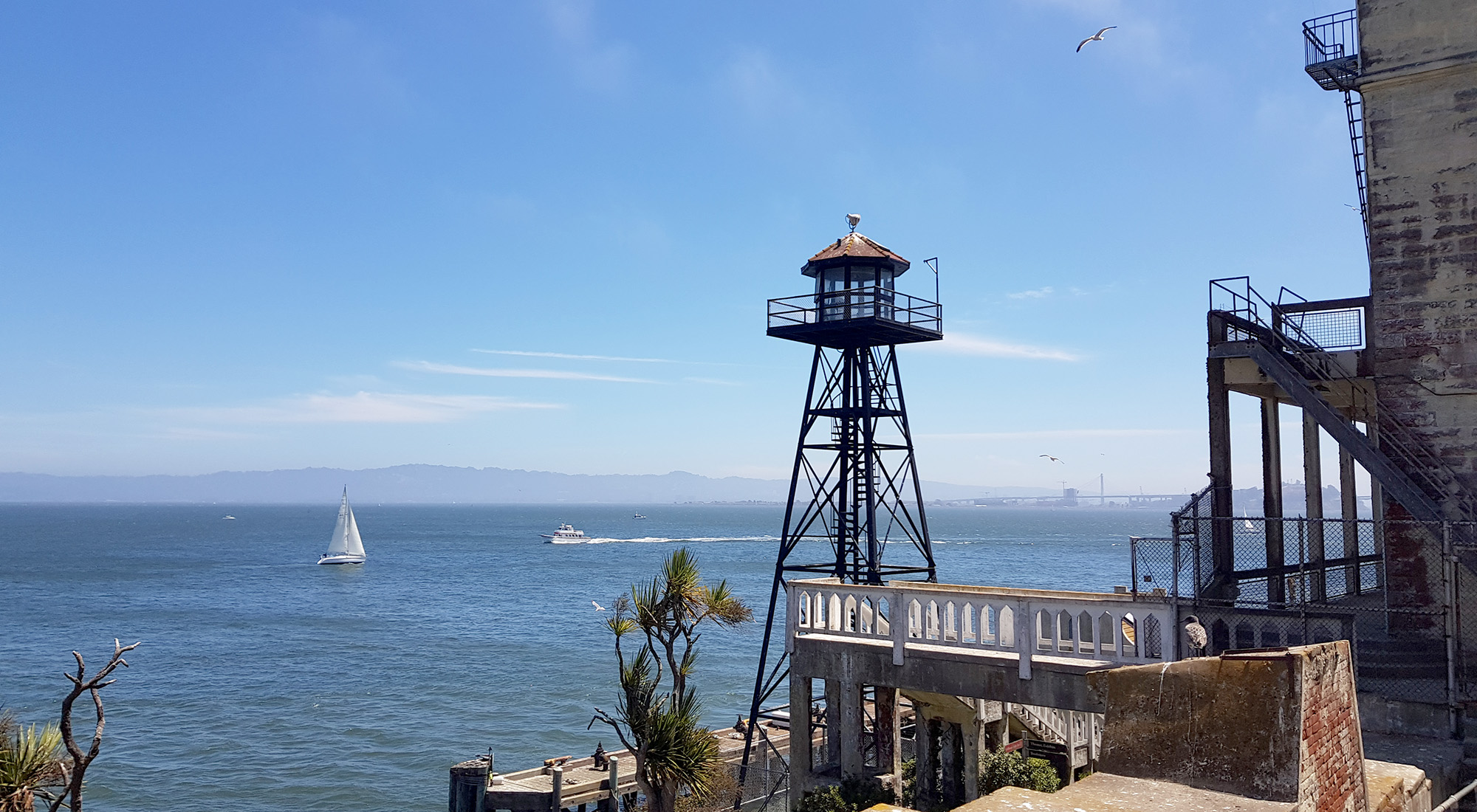 20230730_123153.jpg 20230730_123153.jpg