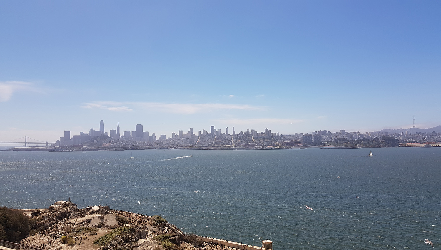 20230730_120529.jpg 20230730_120529.jpg