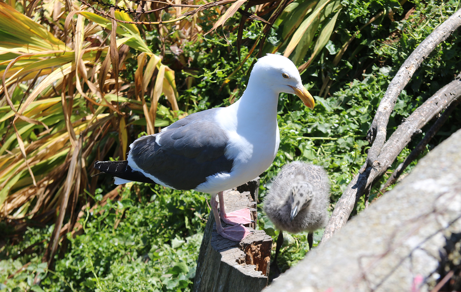 IMG_5896.jpg IMG_5896.jpg