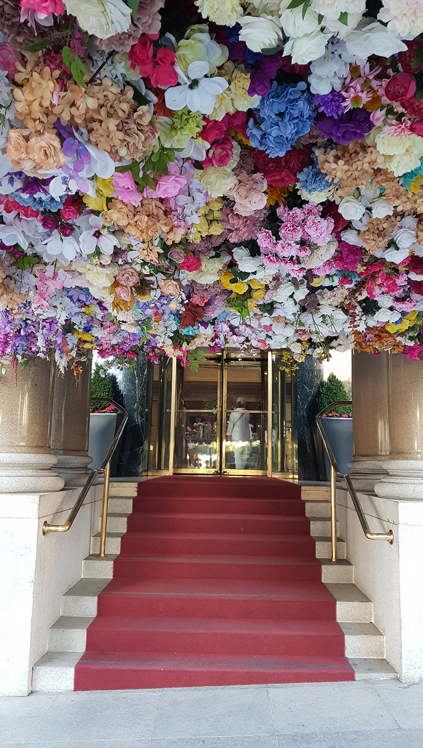 20230730_181232.jpg 20230730_181232.jpg