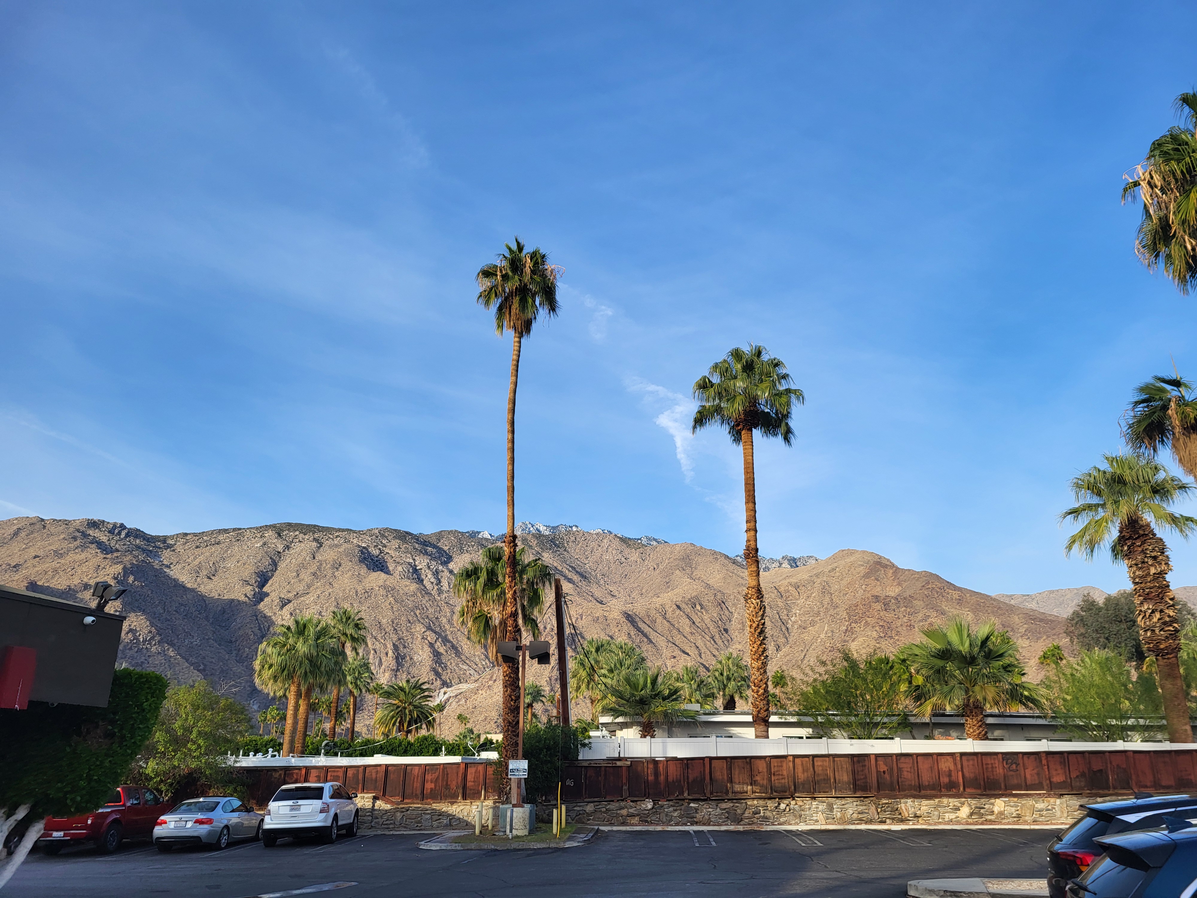 20250216_073358.jpg 20250216_073358.jpg