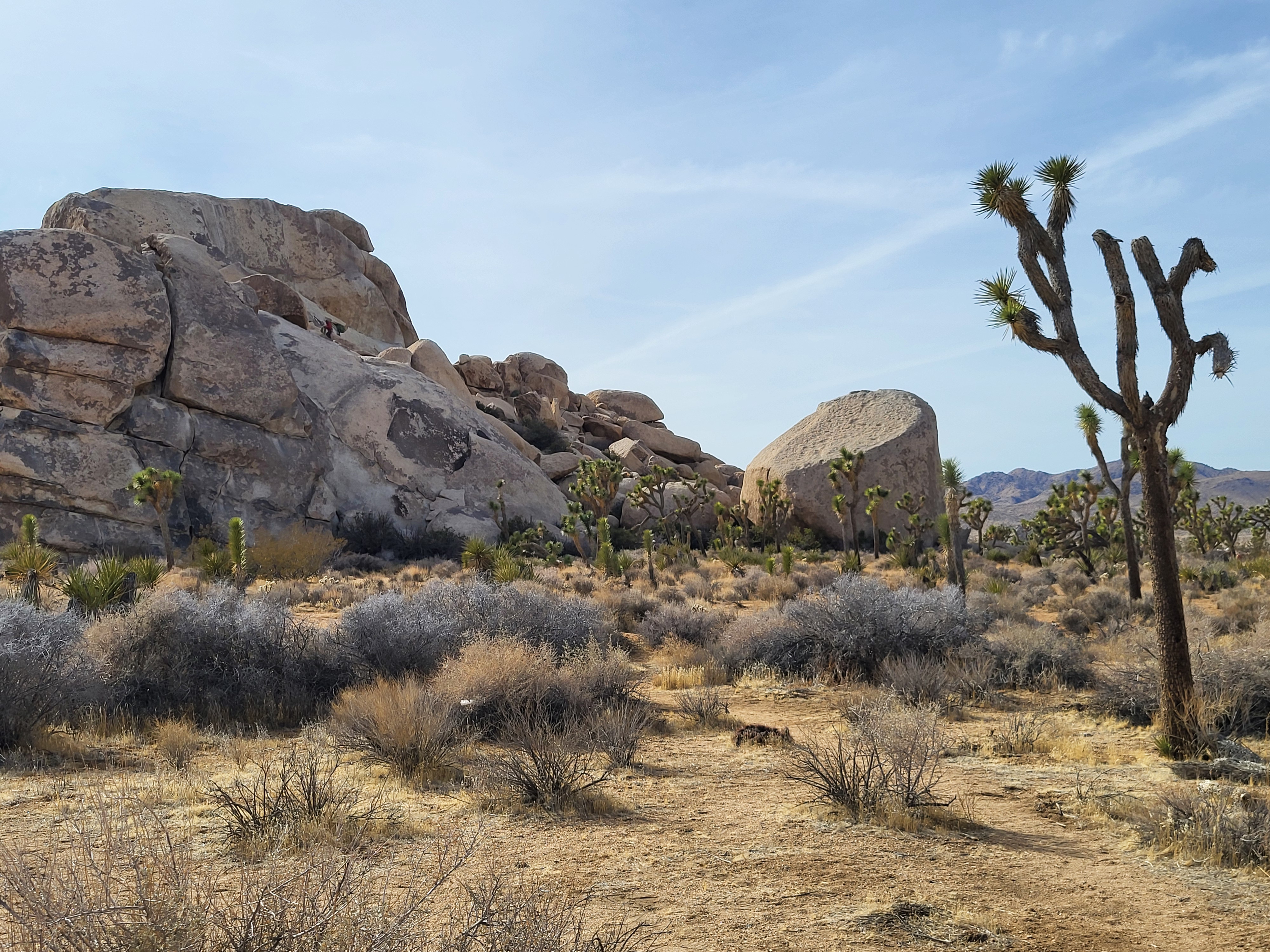 20250216_140124.jpg 20250216_140124.jpg