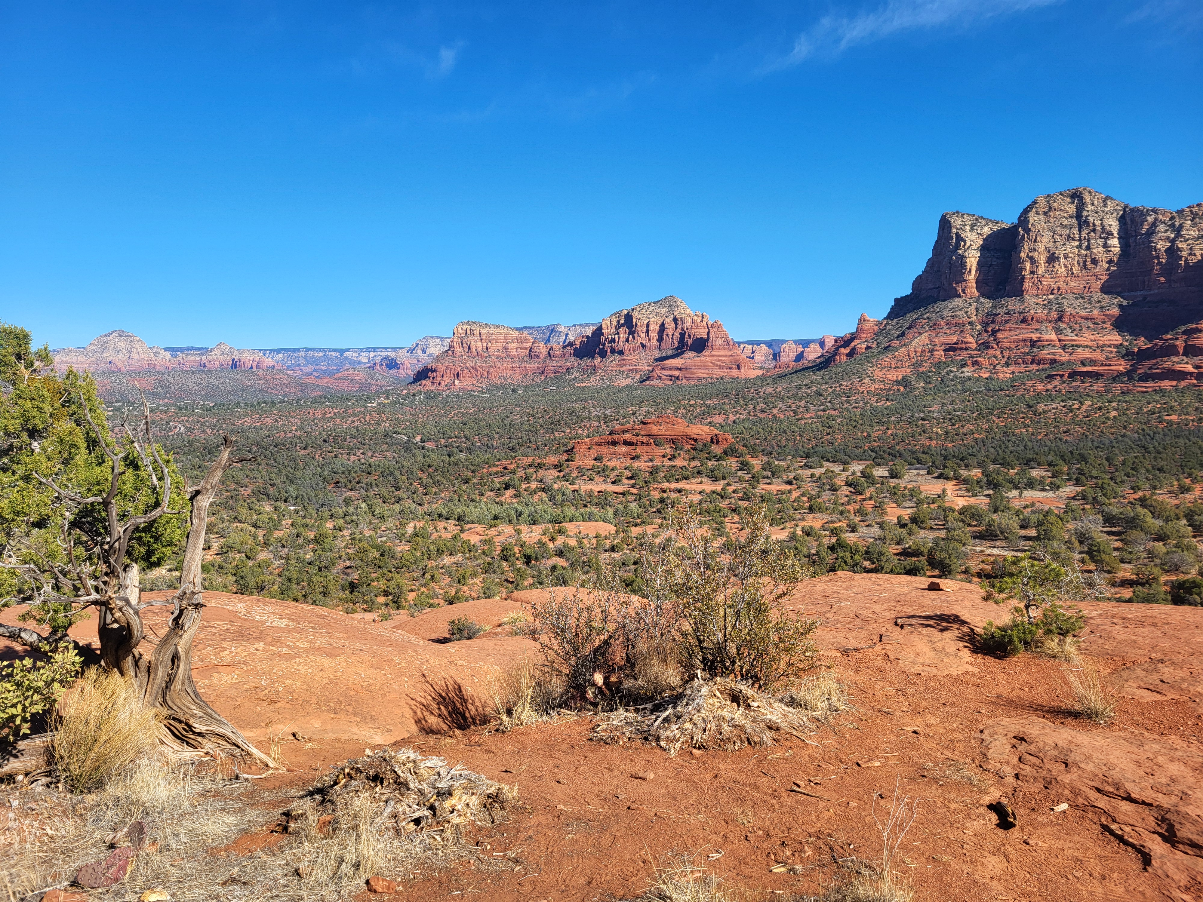 20250224_101851.jpg 20250224_101851.jpg