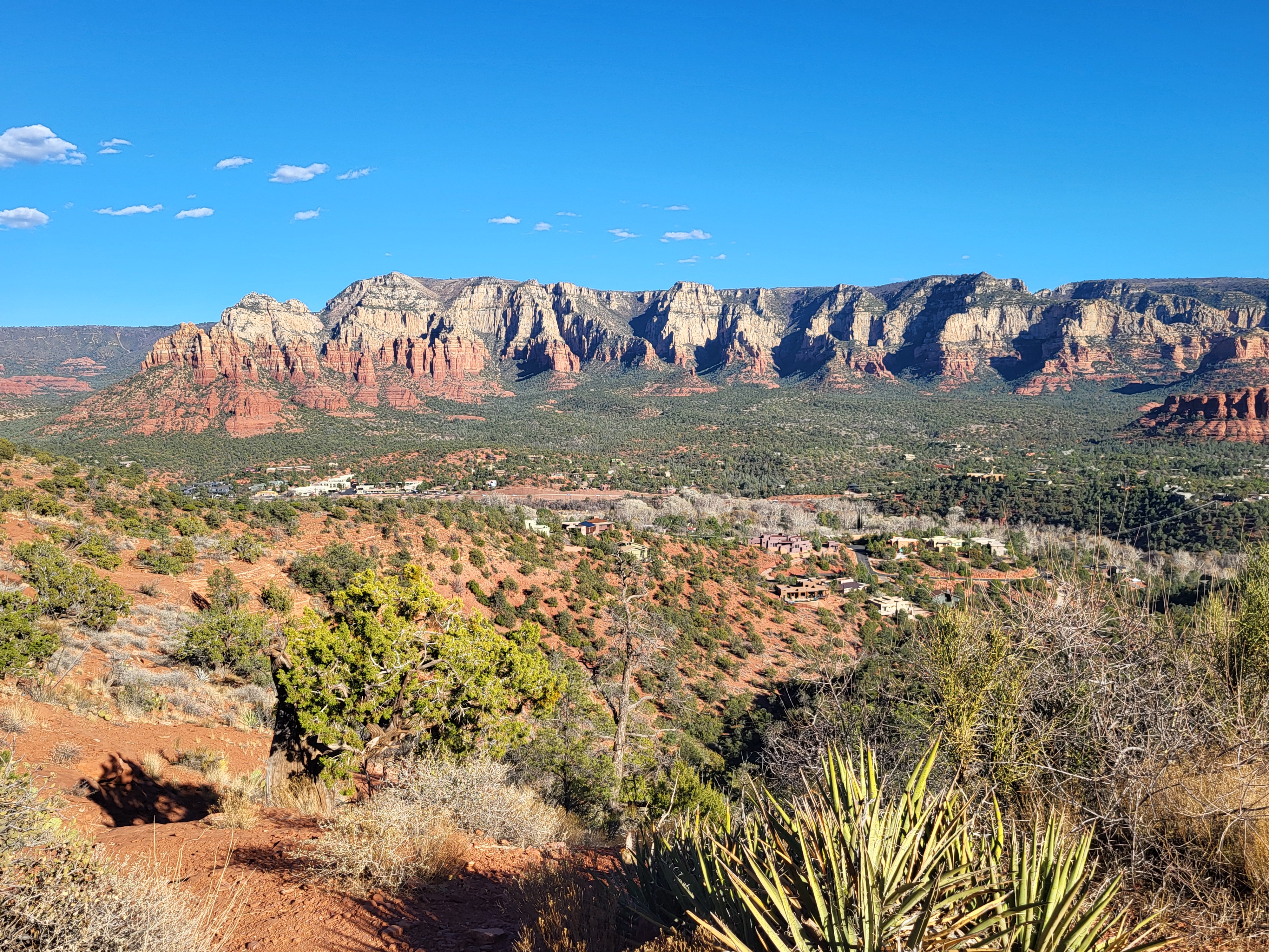 20250224_161518.jpg 20250224_161518.jpg