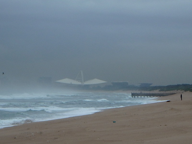 P4250284.JPG