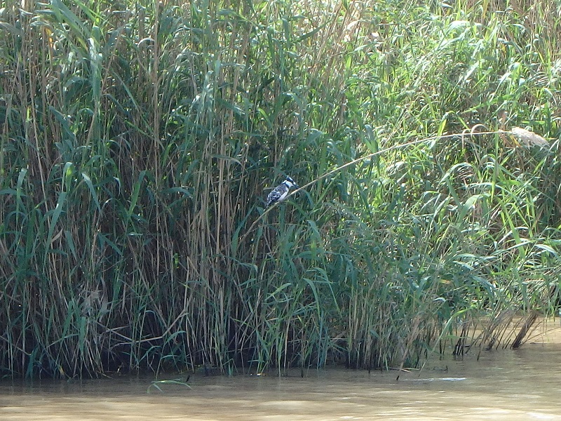 P4260315.JPG